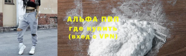 хмурый Алзамай