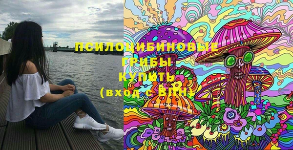 хмурый Алзамай
