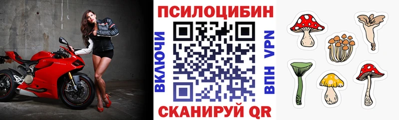 Псилоцибиновые грибы Psilocybine cubensis Когалым
